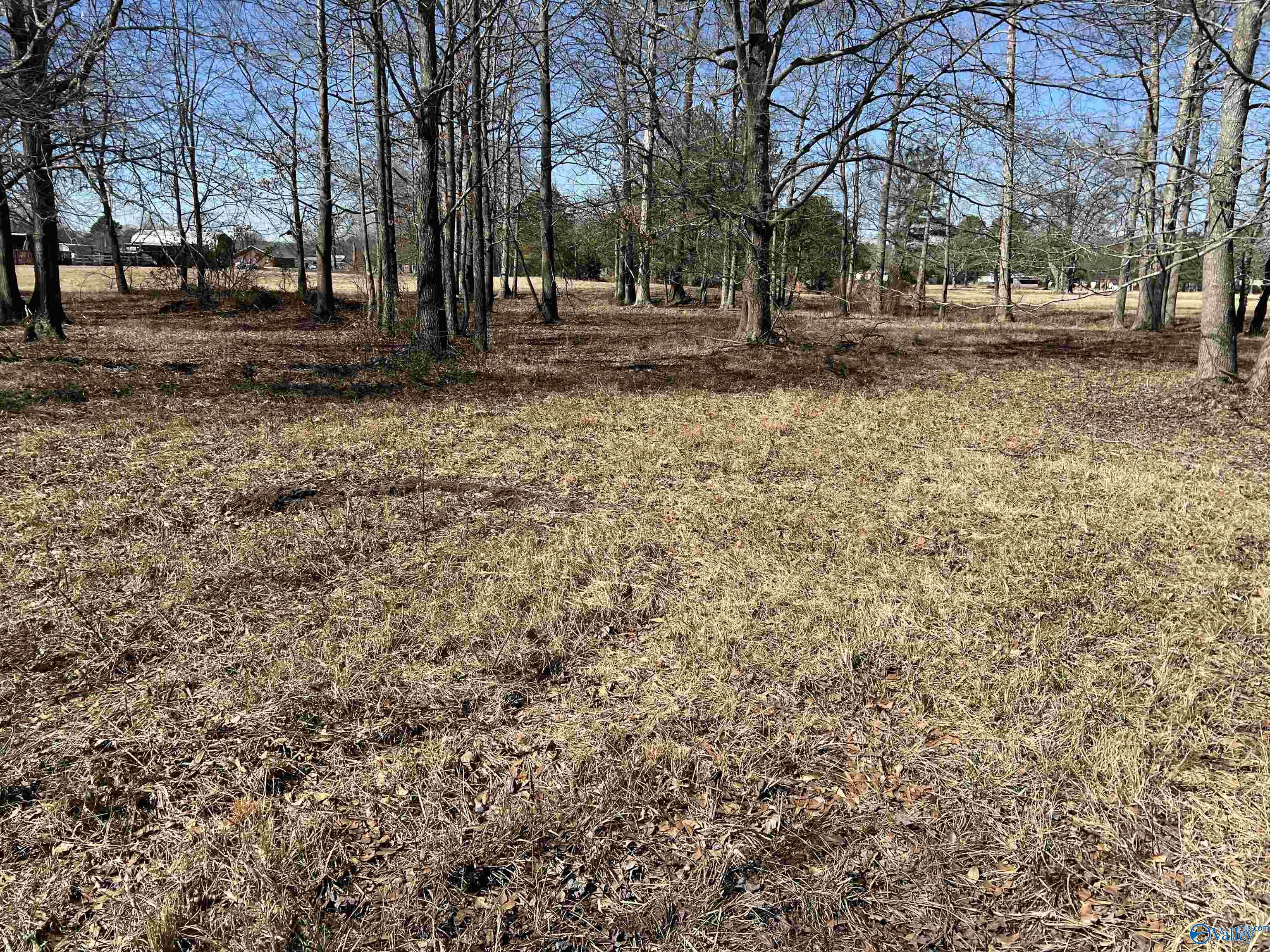 5 Guthrie Road, Elkmont, Alabama image 6