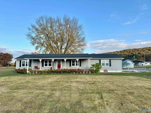 Homes For Sale - 64 N Robinson Road<br/> Hartselle, AL 35640