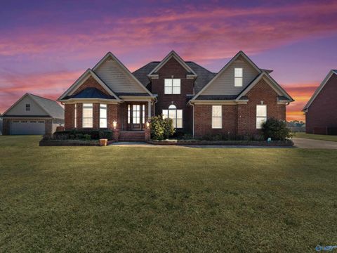 Homes For Sale - 25328 Drury Lane<br/> Toney, AL 35773