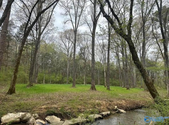 2703 HWY 36 E, HARTSELLE, AL 35640 - Image 02014026aa85f6dc528115253279b8f9/1741730267