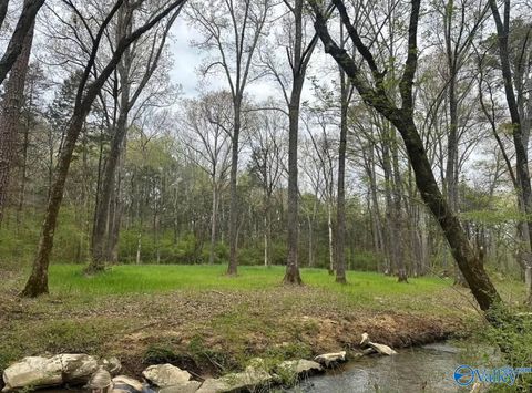 Vacant Land For Sale - 2703 Hwy 36<br/> Morgan County, Hartselle, AL 35640