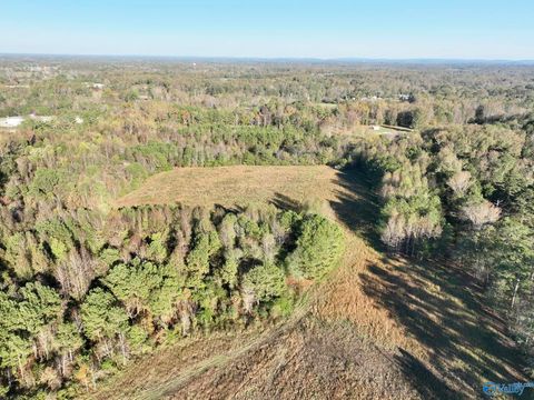 Vacant Land For Sale - 21 ACRES +/- Pleasant Hill Church Road<br/> Boaz, AL 35956
