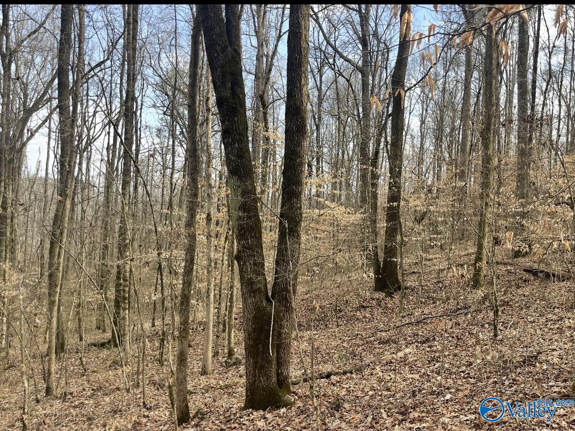 153 Edgewood Lane, Guntersville, Alabama image 9