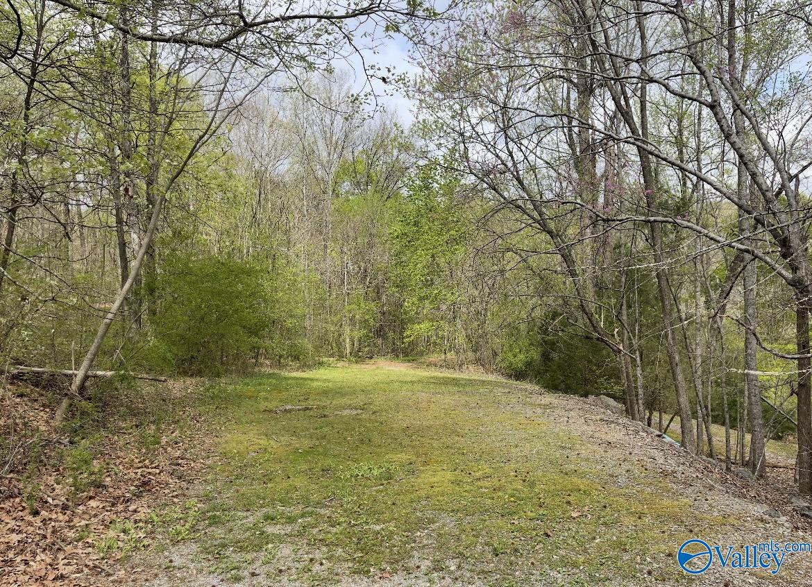 153 Edgewood Lane, Guntersville, Alabama image 14