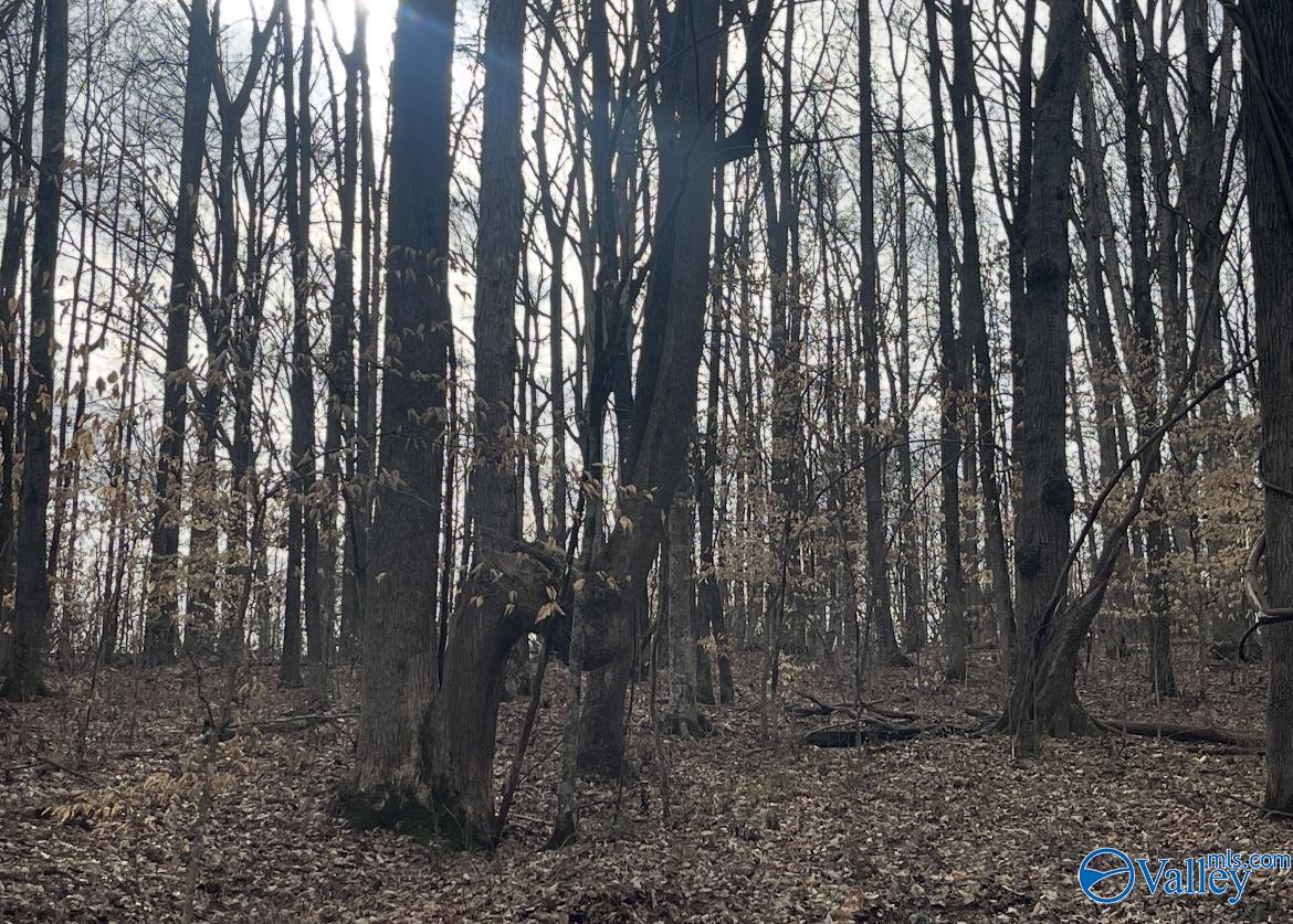 153 Edgewood Lane, Guntersville, Alabama image 10
