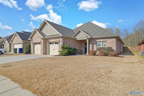 Photo of 6606 Lizzie Lane SE, Owens Cross Roads, AL 35763 (MLS # 21913061)