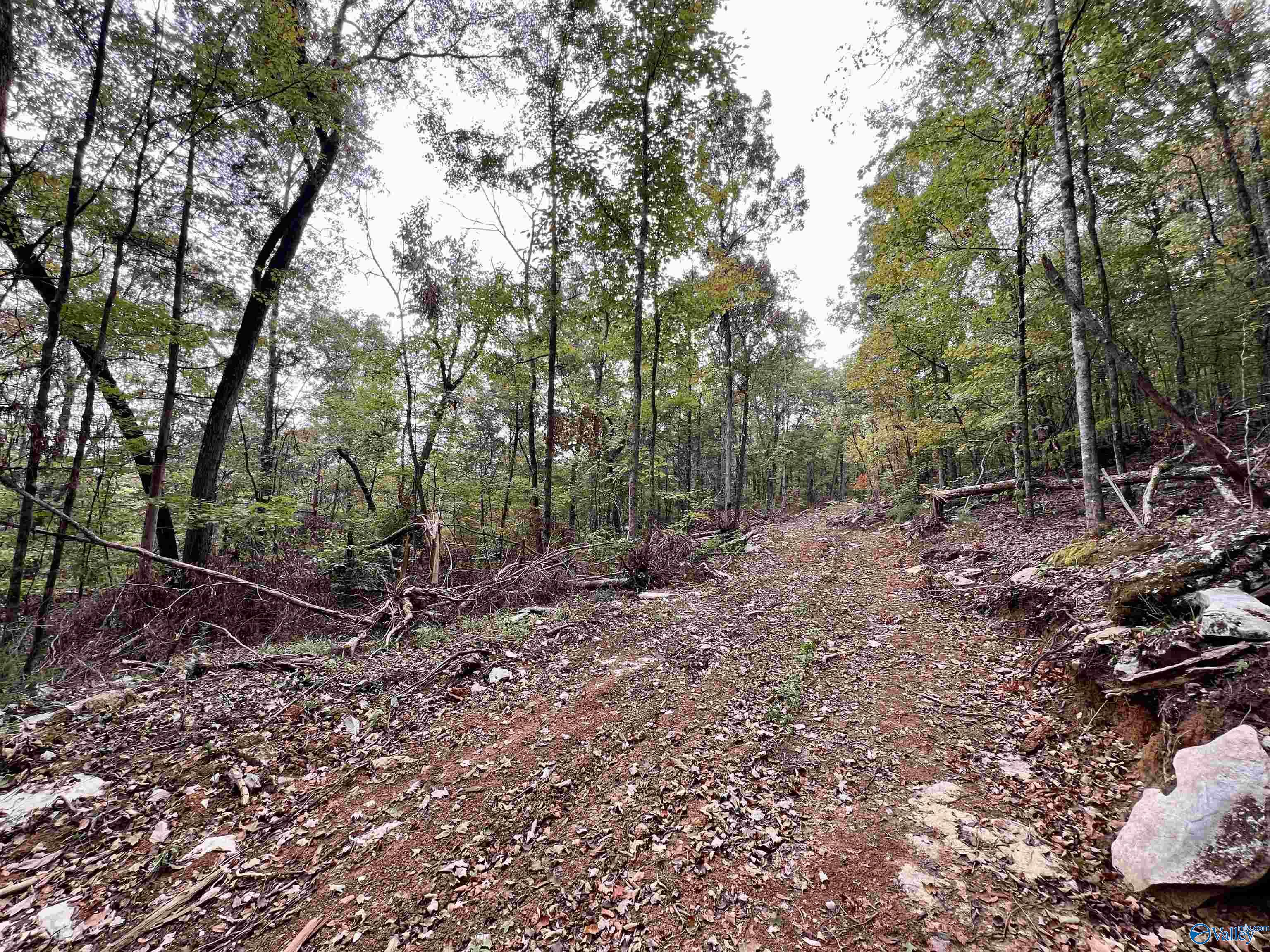 County Road 104 S County Road 104, Stevenson, Alabama image 7