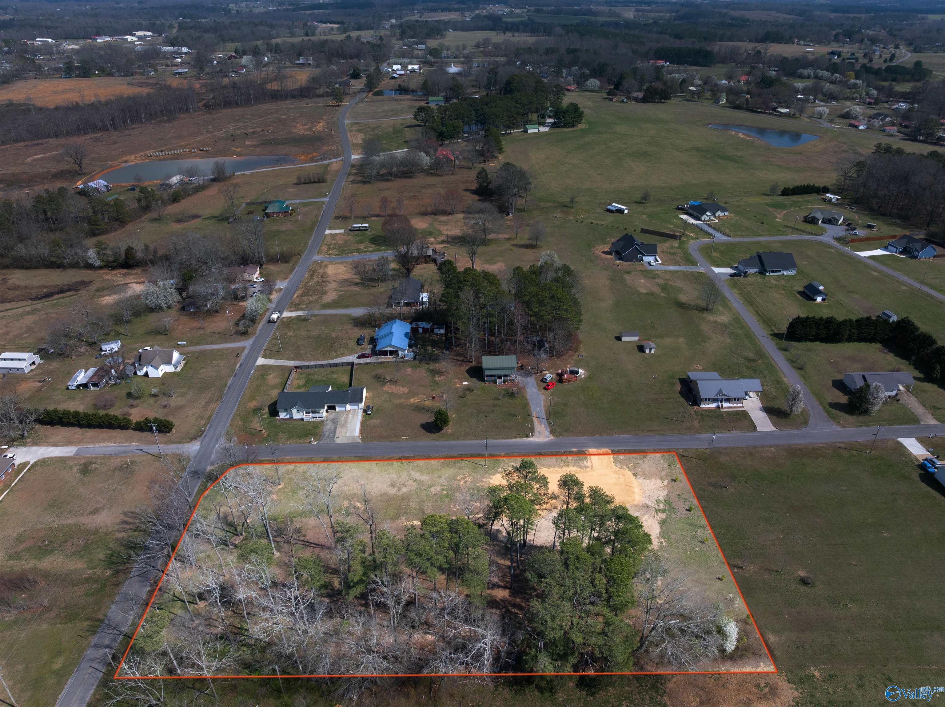 2.10 Acres Morgan Lane, Section, Alabama image 4