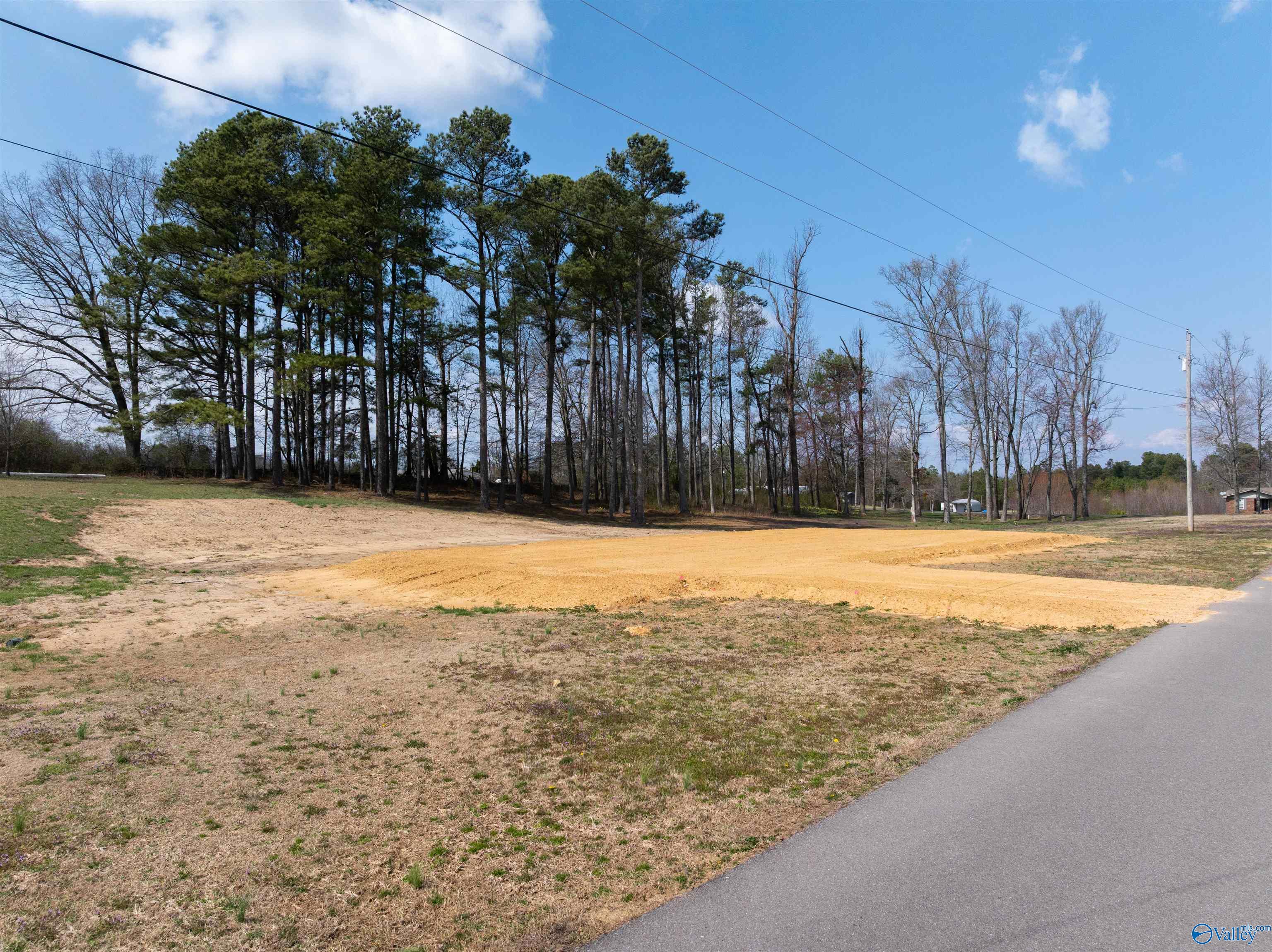 2.10 Acres Morgan Lane, Section, Alabama image 6