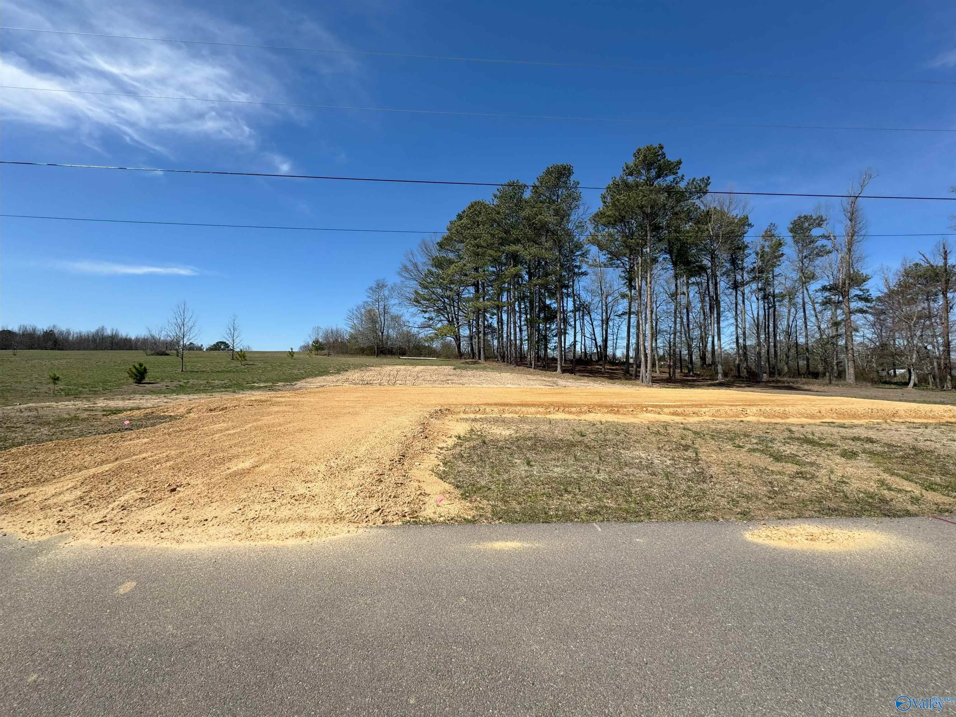 2.10 Acres Morgan Lane, Section, Alabama image 9