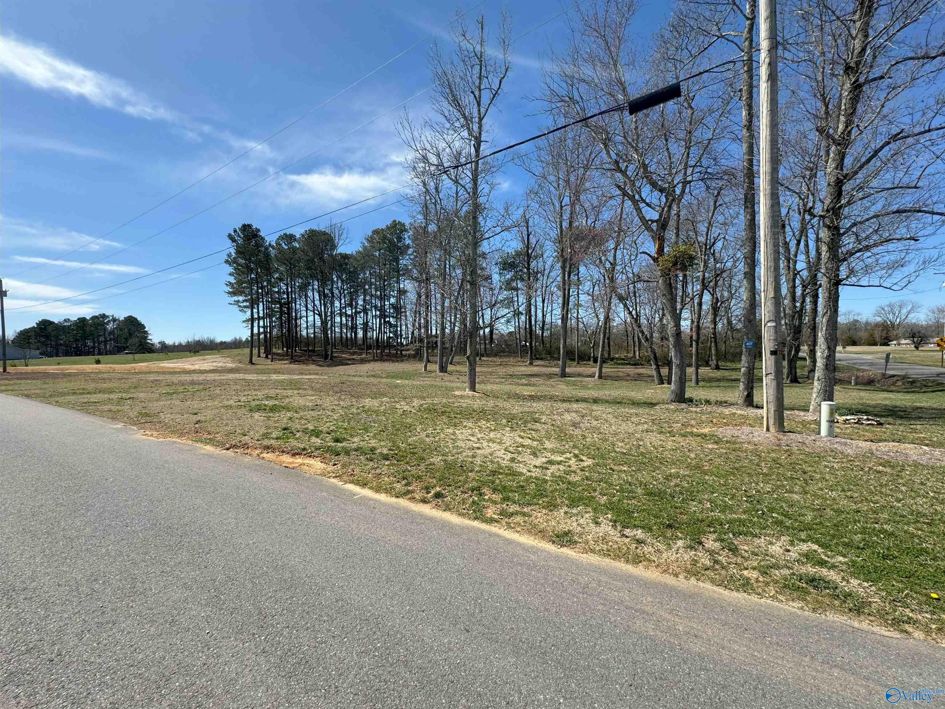 2.10 Acres Morgan Lane, Section, Alabama image 11