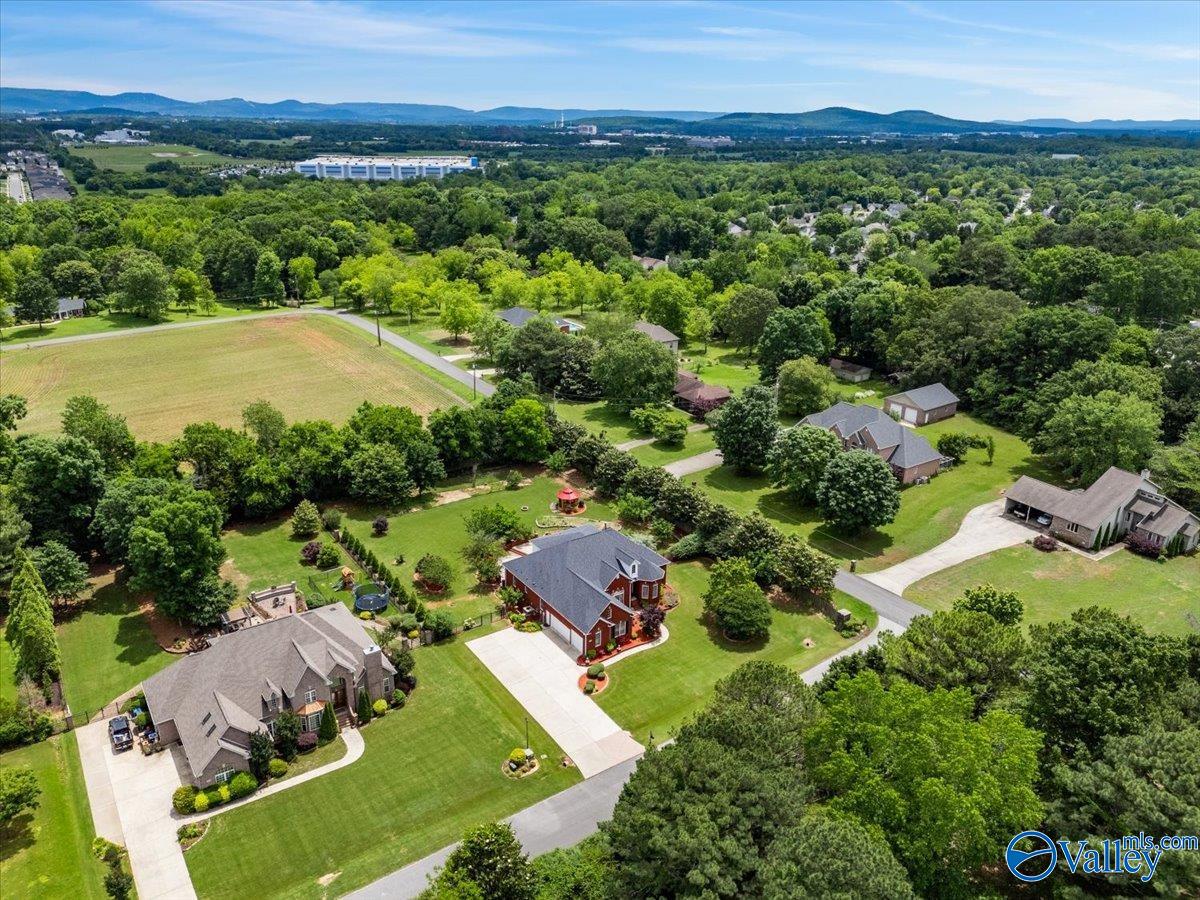 100 Red Branch Drive, Madison, Alabama image 45