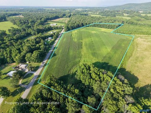 Vacant Land For Sale - 8204 Winchester Road<br/> New Market, AL 35761