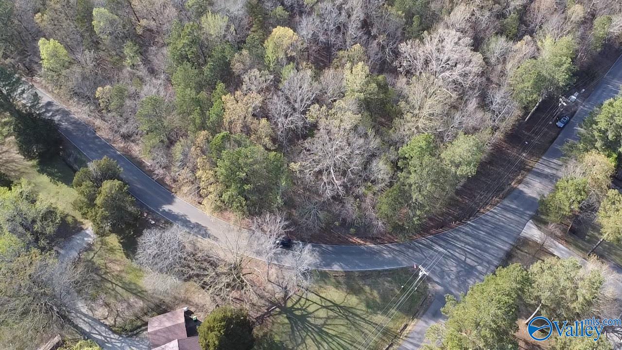 Lot 4 NW Bird Spring Road, Decatur, Alabama image 2