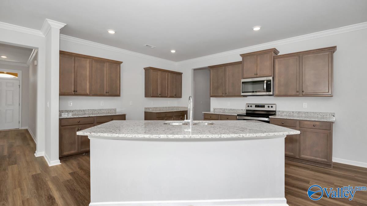 529 East River Landing Blvd, Madison, Alabama image 2