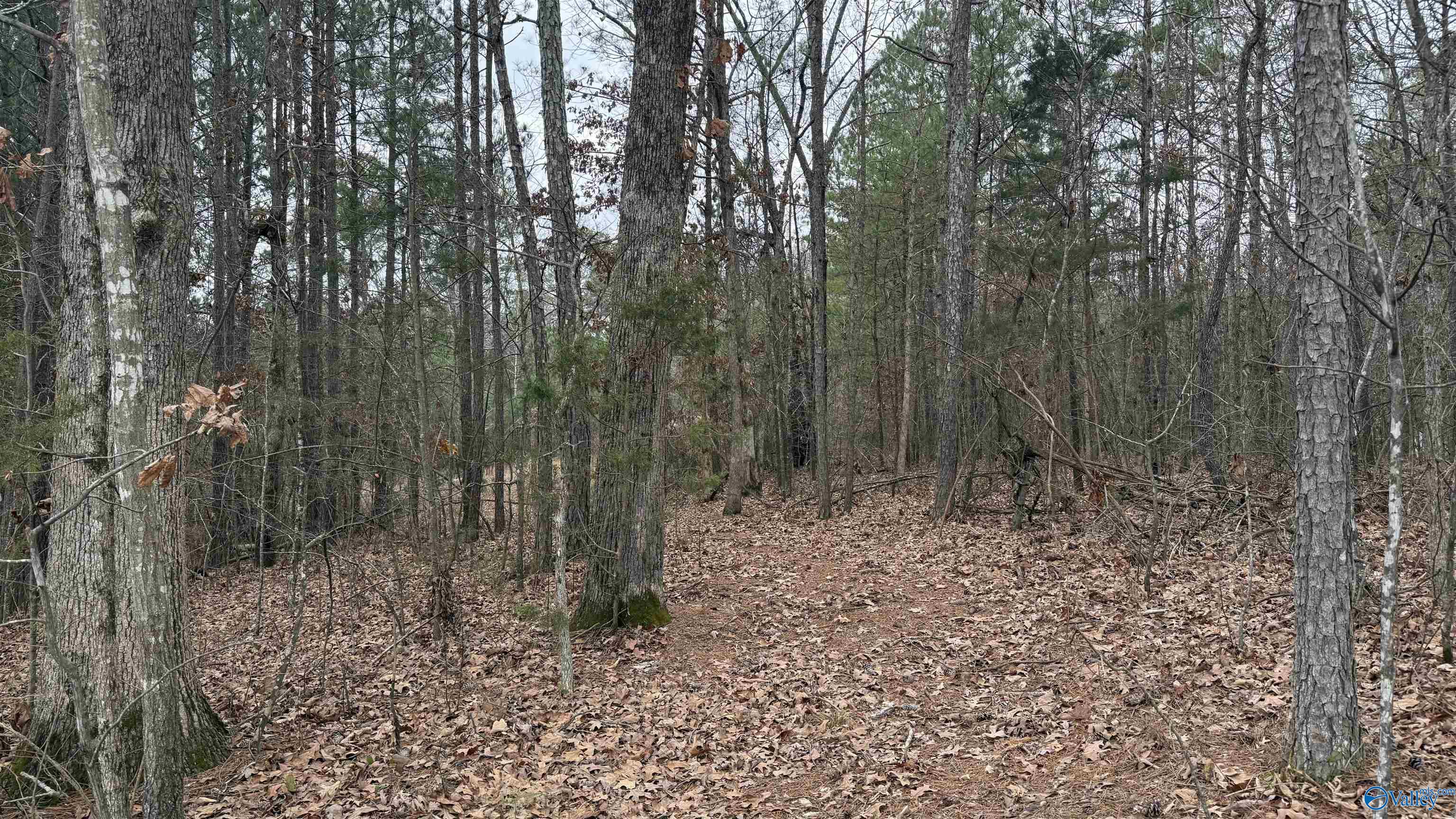 3.6 Acres Hough Road, Laceys Spring, Alabama image 3