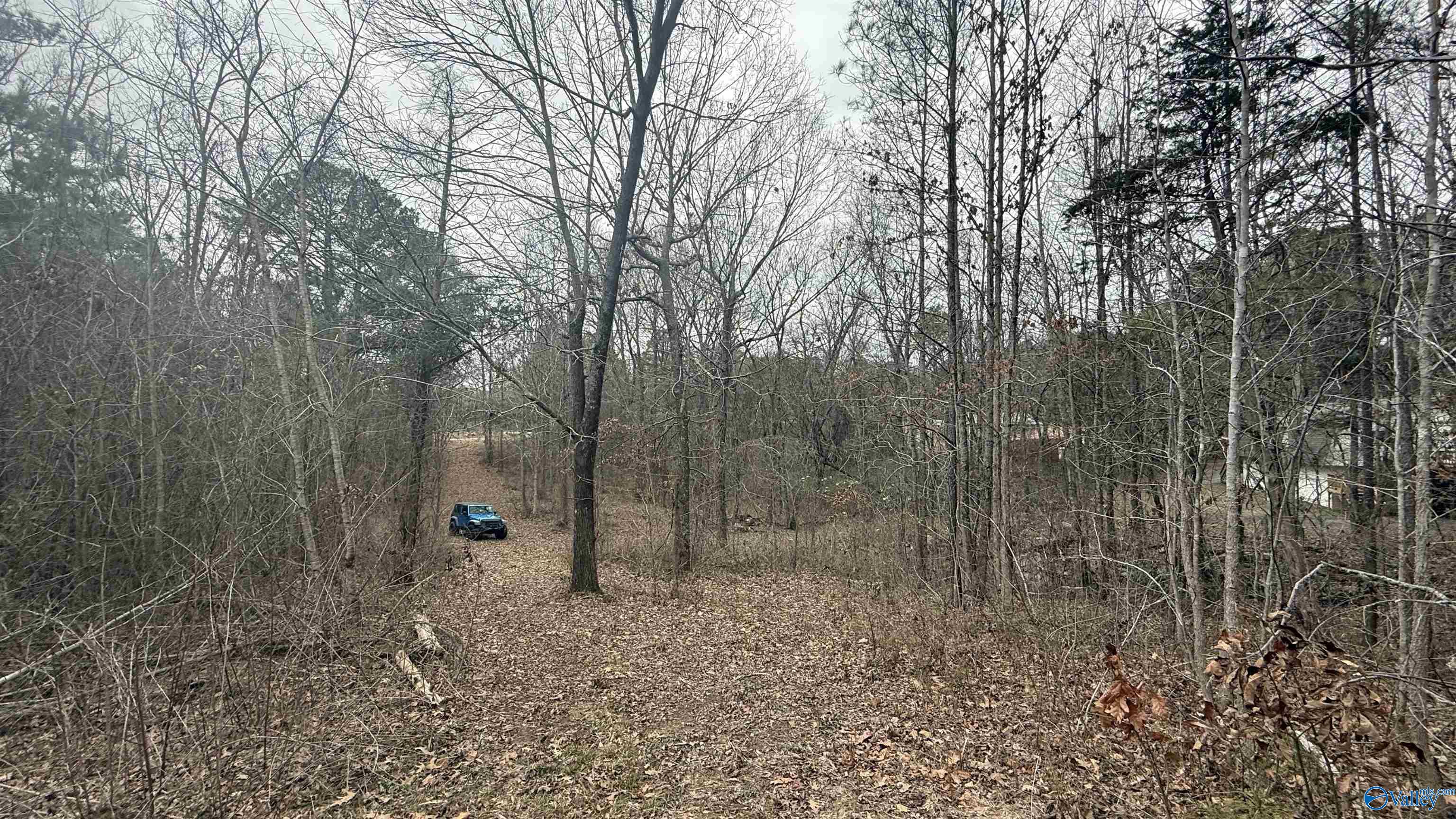 3.6 Acres Hough Road, Laceys Spring, Alabama image 7