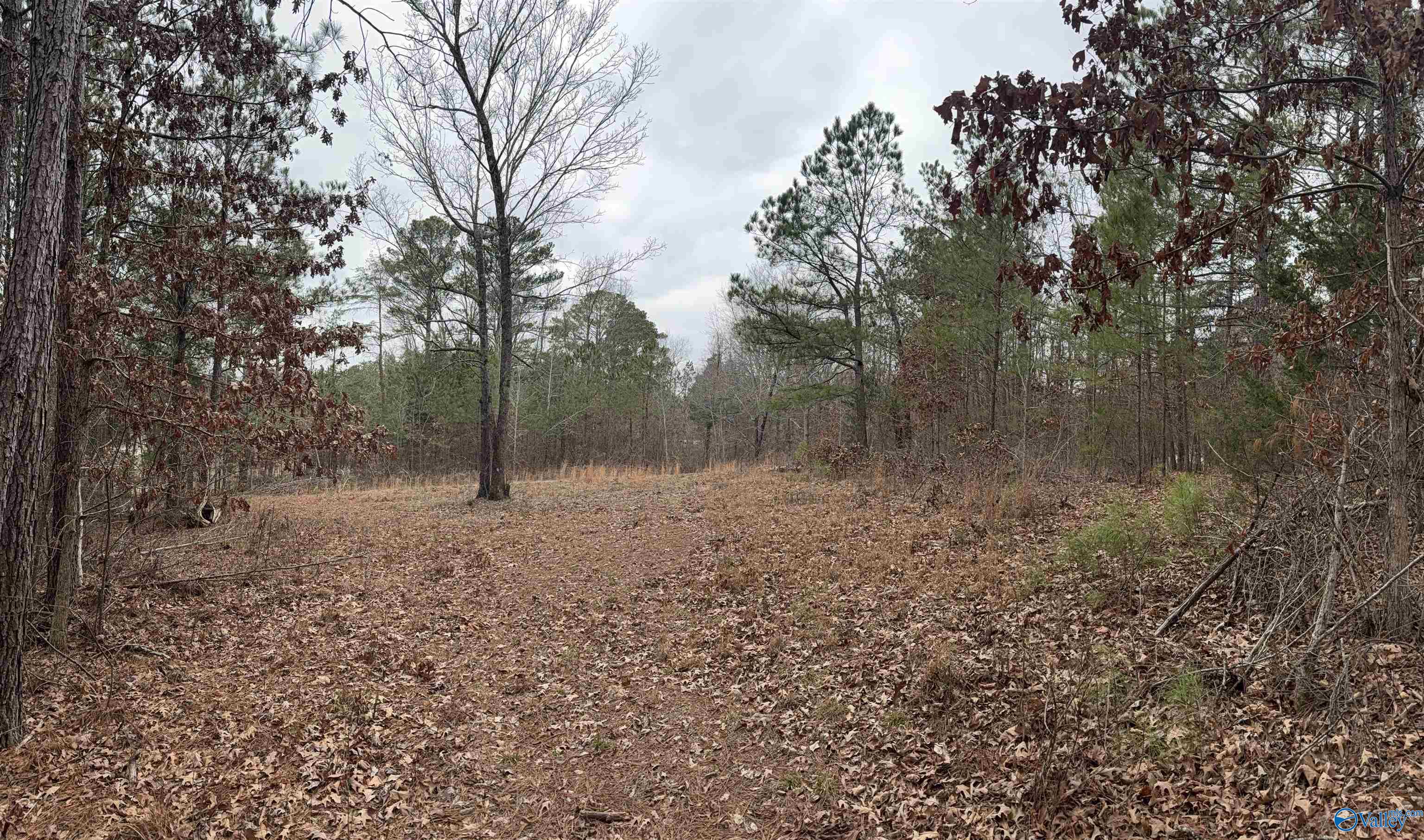 3.6 Acres Hough Road, Laceys Spring, Alabama image 5