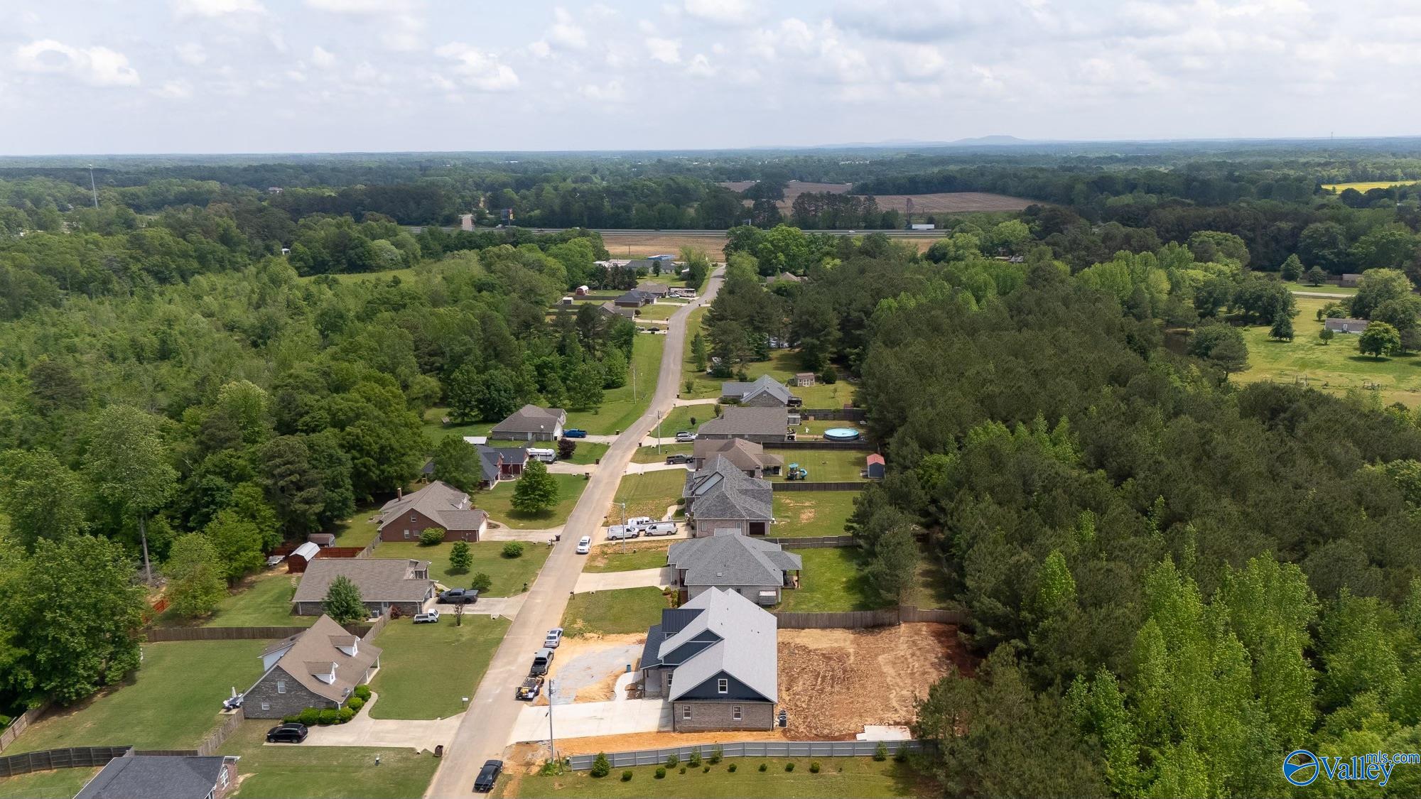 21746 Pinebrook Drive, Athens, Alabama image 42