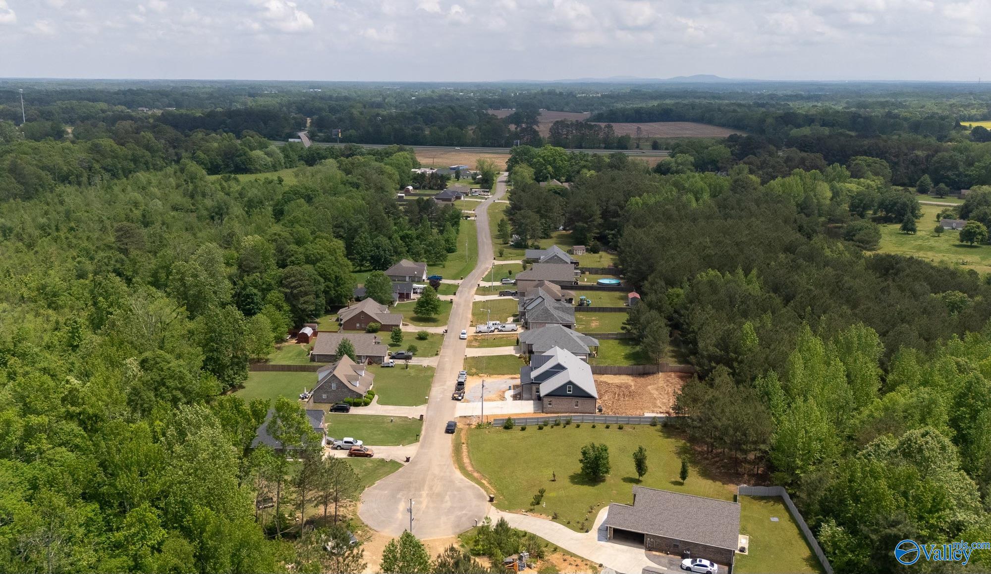 21746 Pinebrook Drive, Athens, Alabama image 41