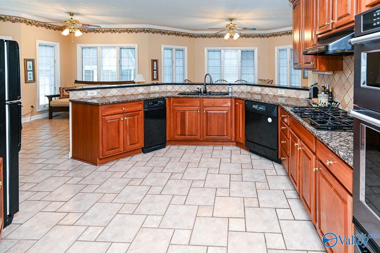 1102 Vines Drive, Hartselle, Alabama image 16