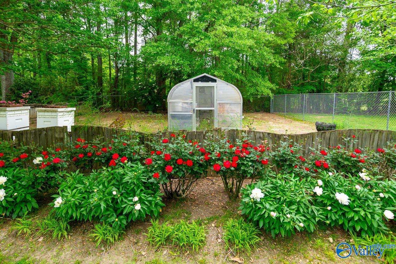 1102 Vines Drive, Hartselle, Alabama image 43