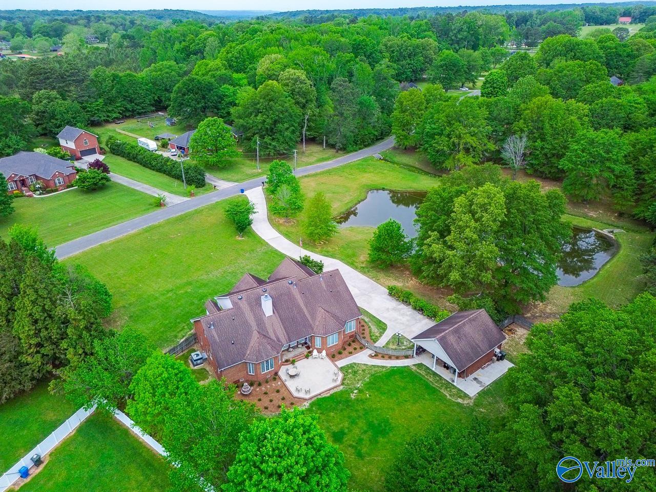 1102 Vines Drive, Hartselle, Alabama image 48