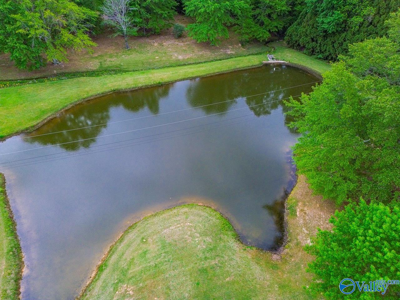 1102 Vines Drive, Hartselle, Alabama image 44