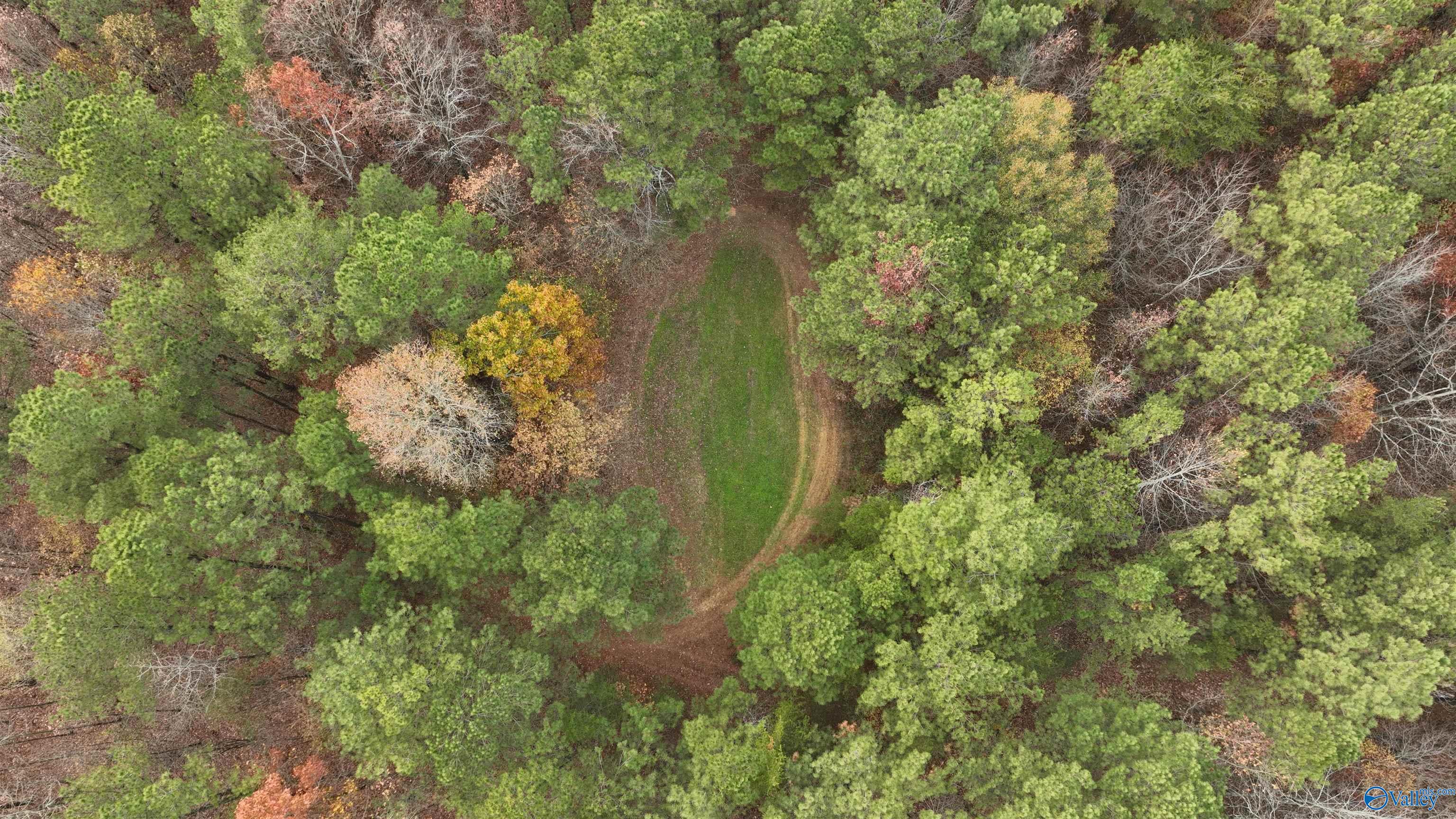 279 AC Sligo Road, Boaz, Alabama image 2