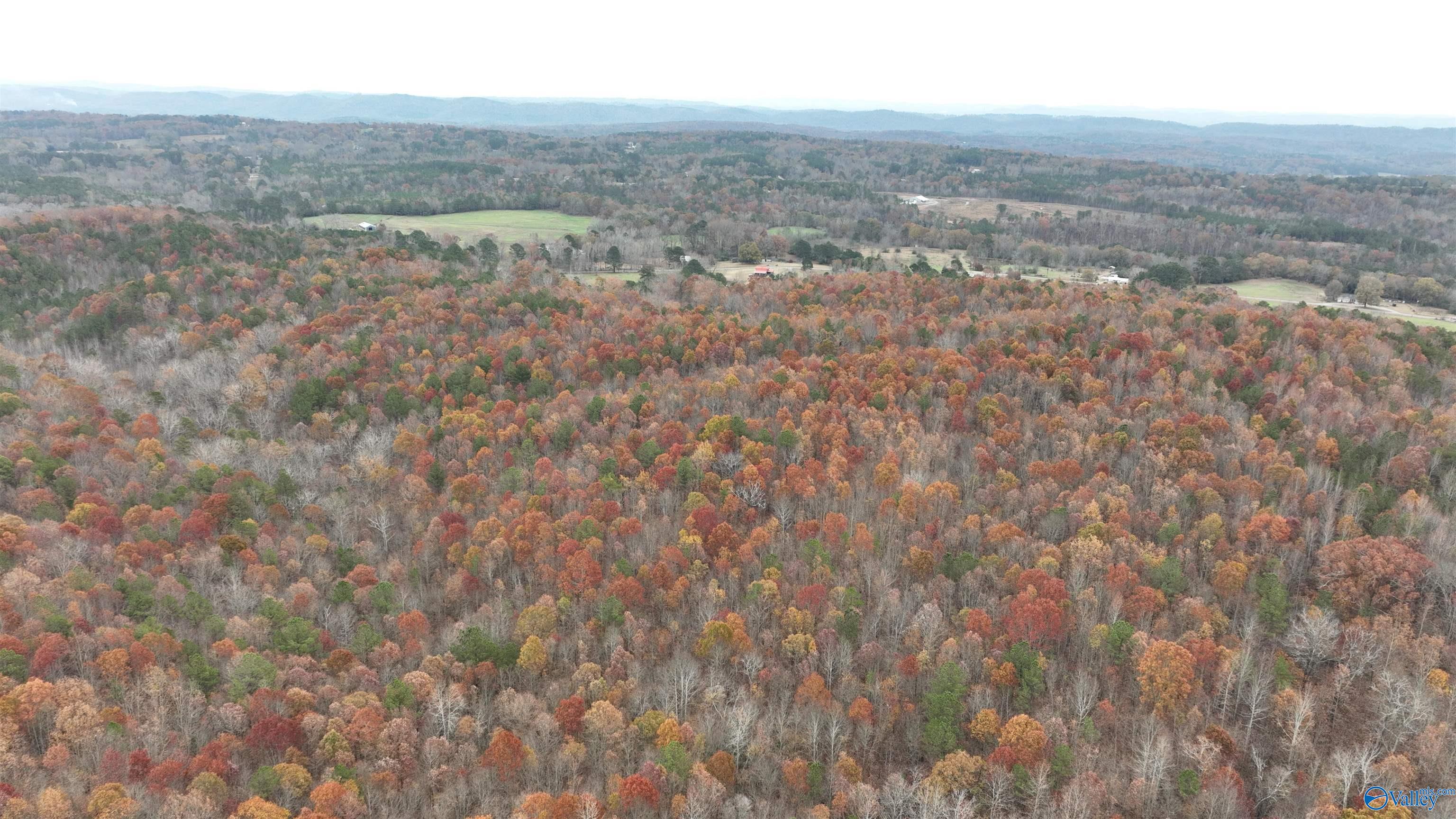 279 AC Sligo Road, Boaz, Alabama image 1
