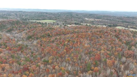 Vacant Land For Sale - 279 AC Sligo Road<br/> Etowah County, Boaz, AL 35956