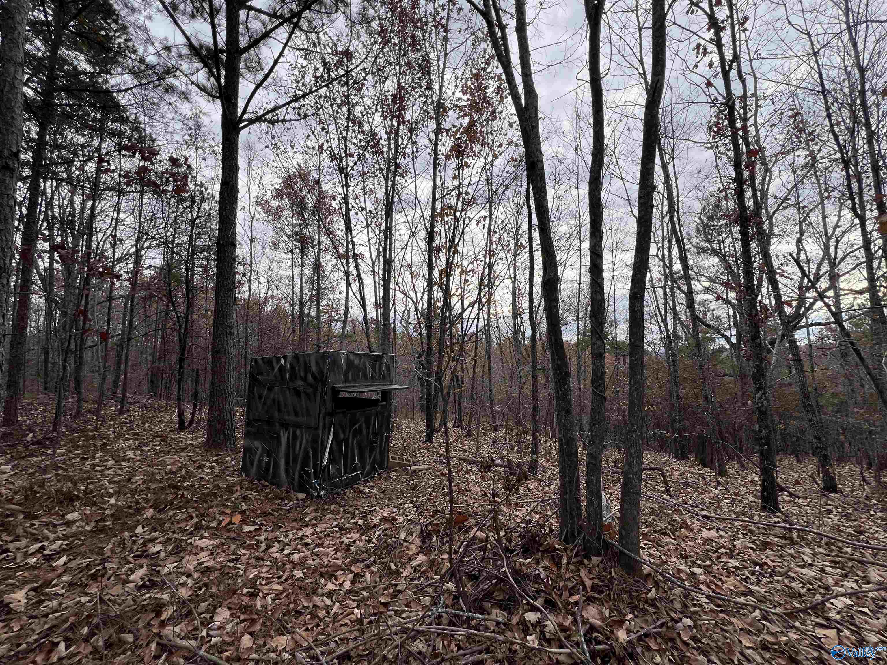 279 AC Sligo Road, Boaz, Alabama image 17