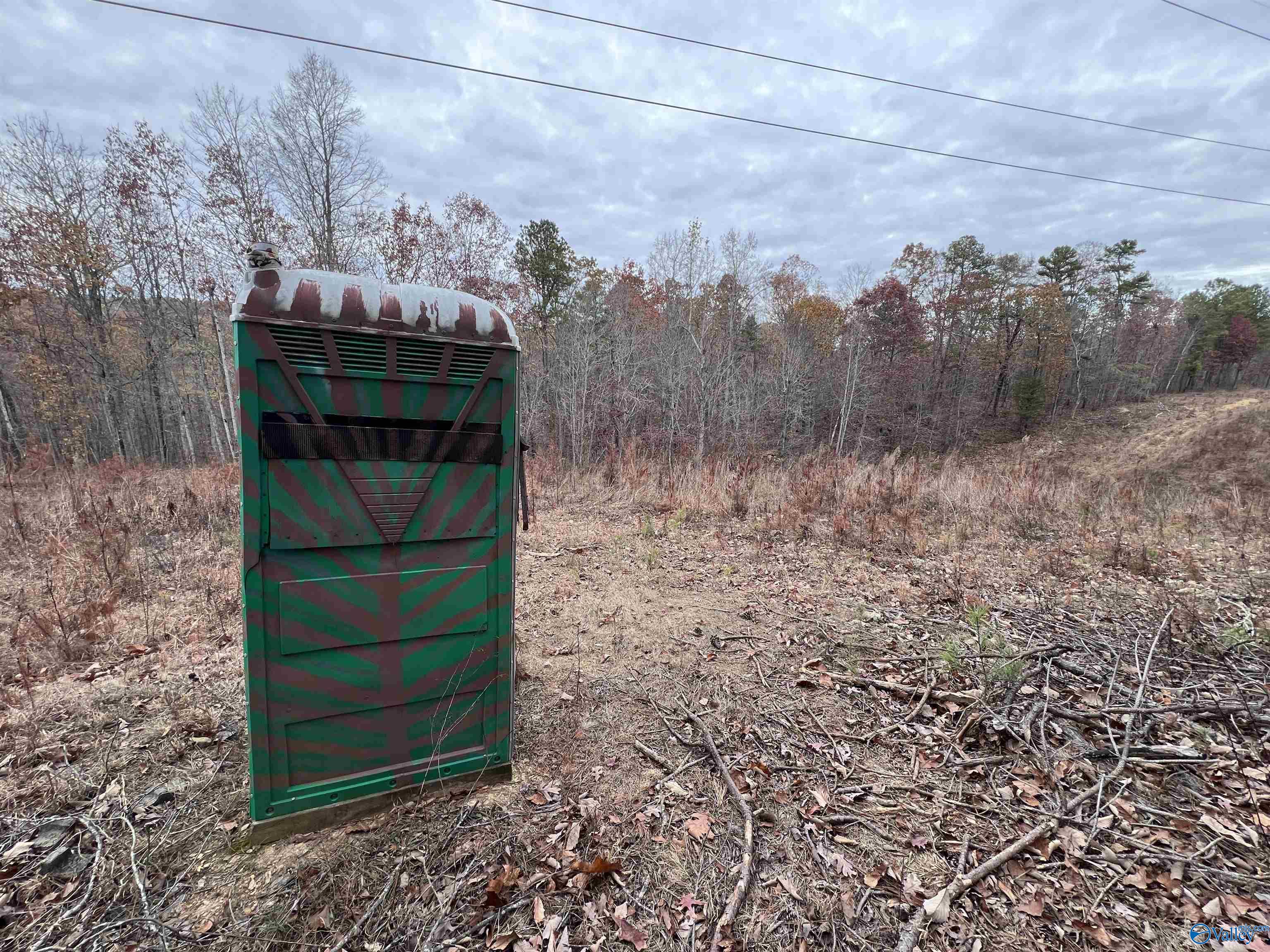 279 AC Sligo Road, Boaz, Alabama image 10