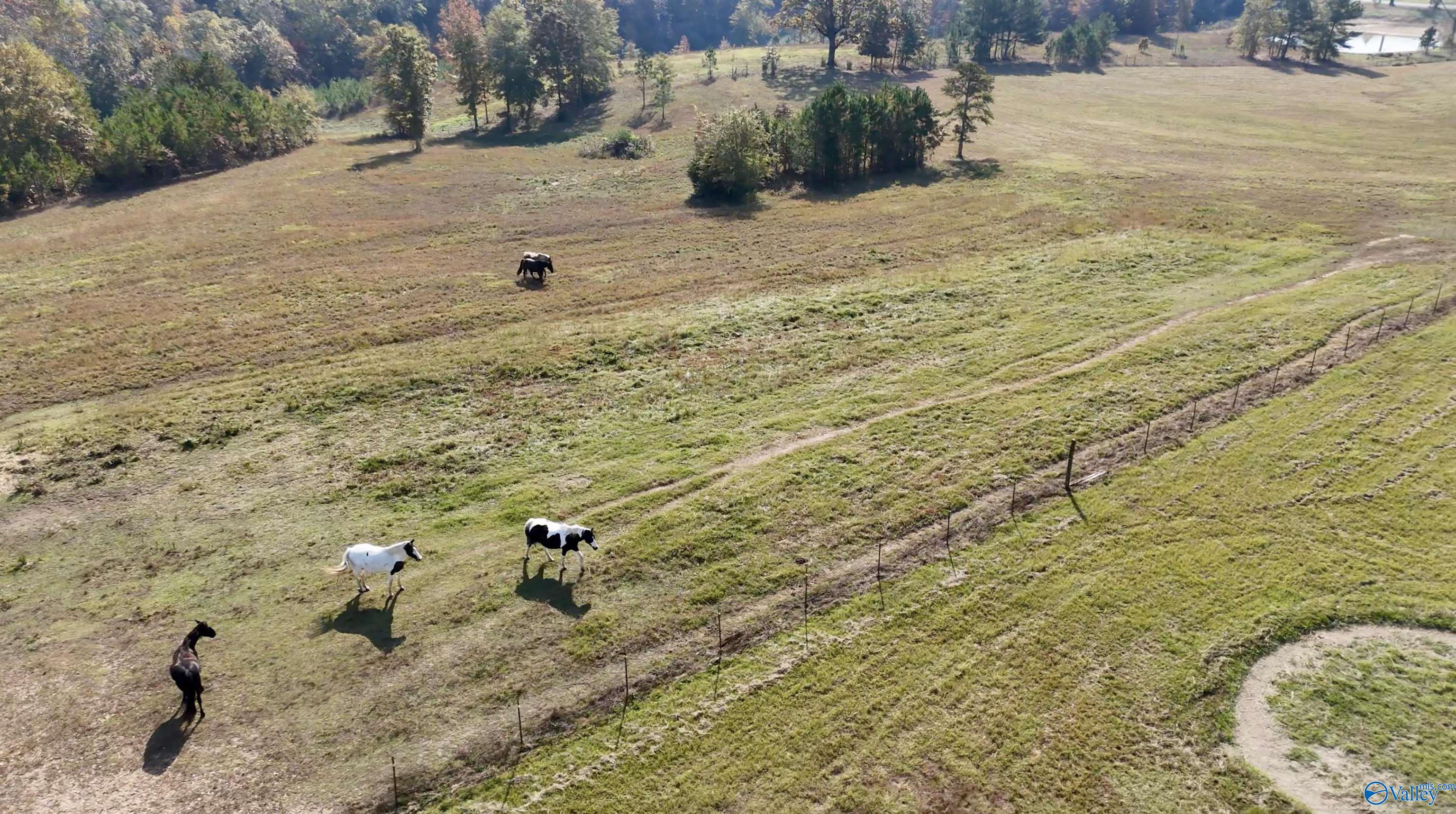 5921 County Highway 20, Hamilton, Alabama image 7