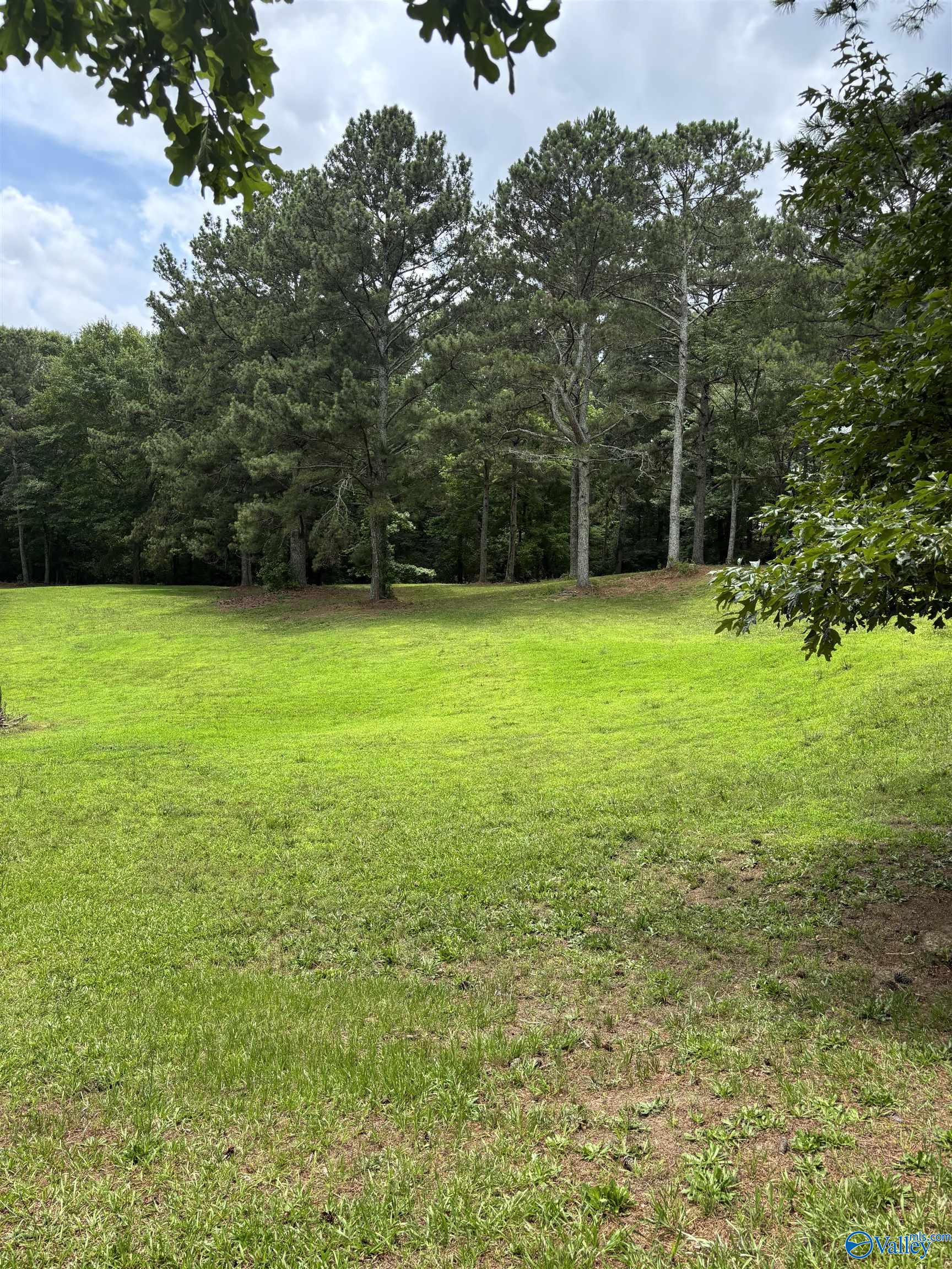 64 Lakeview Drive, Altoona, Alabama image 4