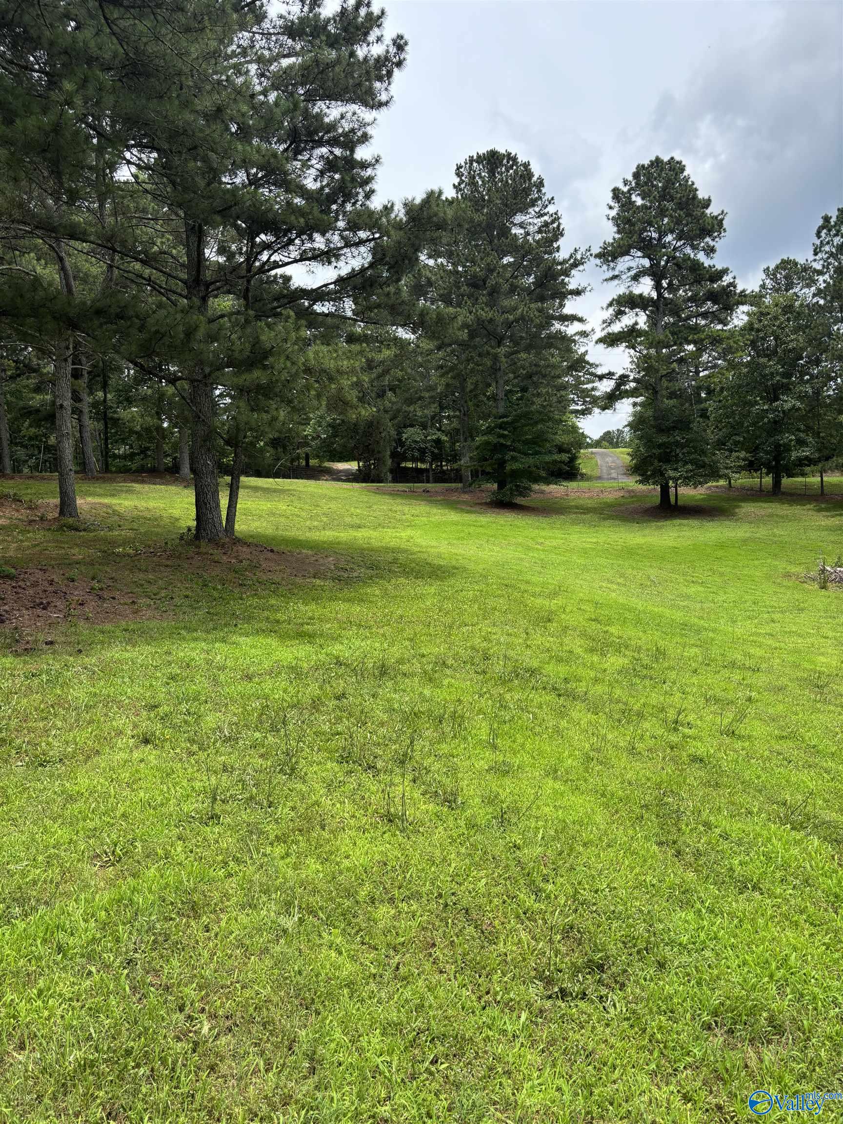 64 Lakeview Drive, Altoona, Alabama image 3