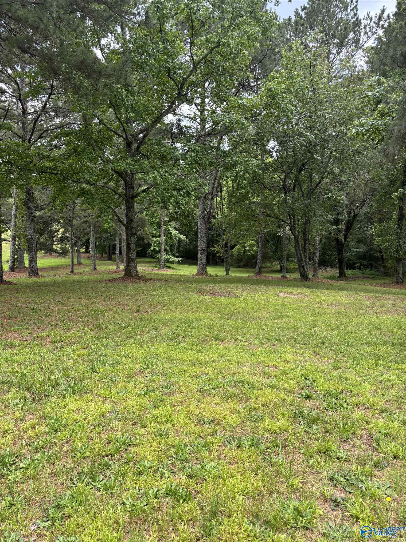 64 Lakeview Drive, Altoona, Alabama image 6