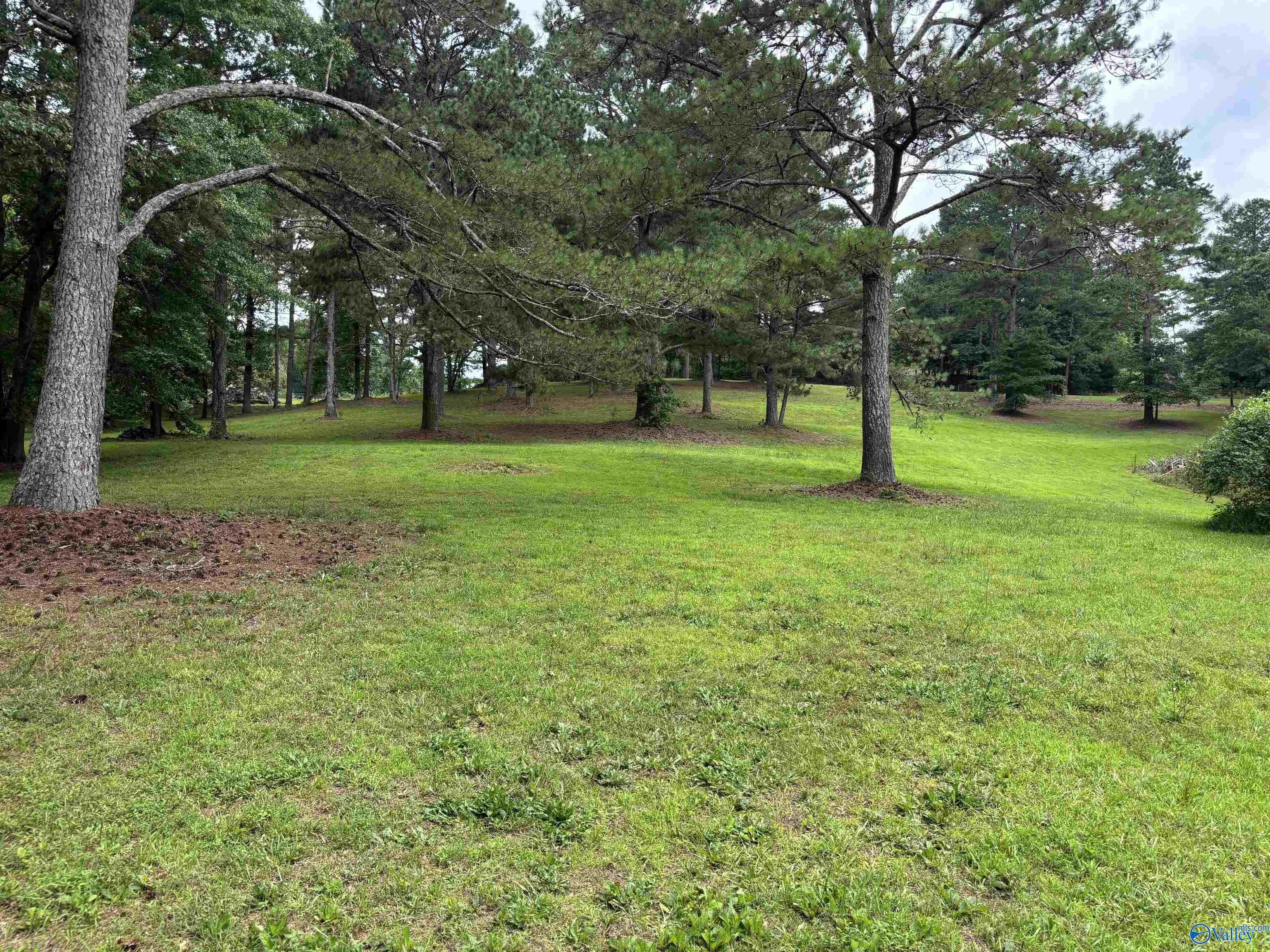 64 Lakeview Drive, Altoona, Alabama image 2