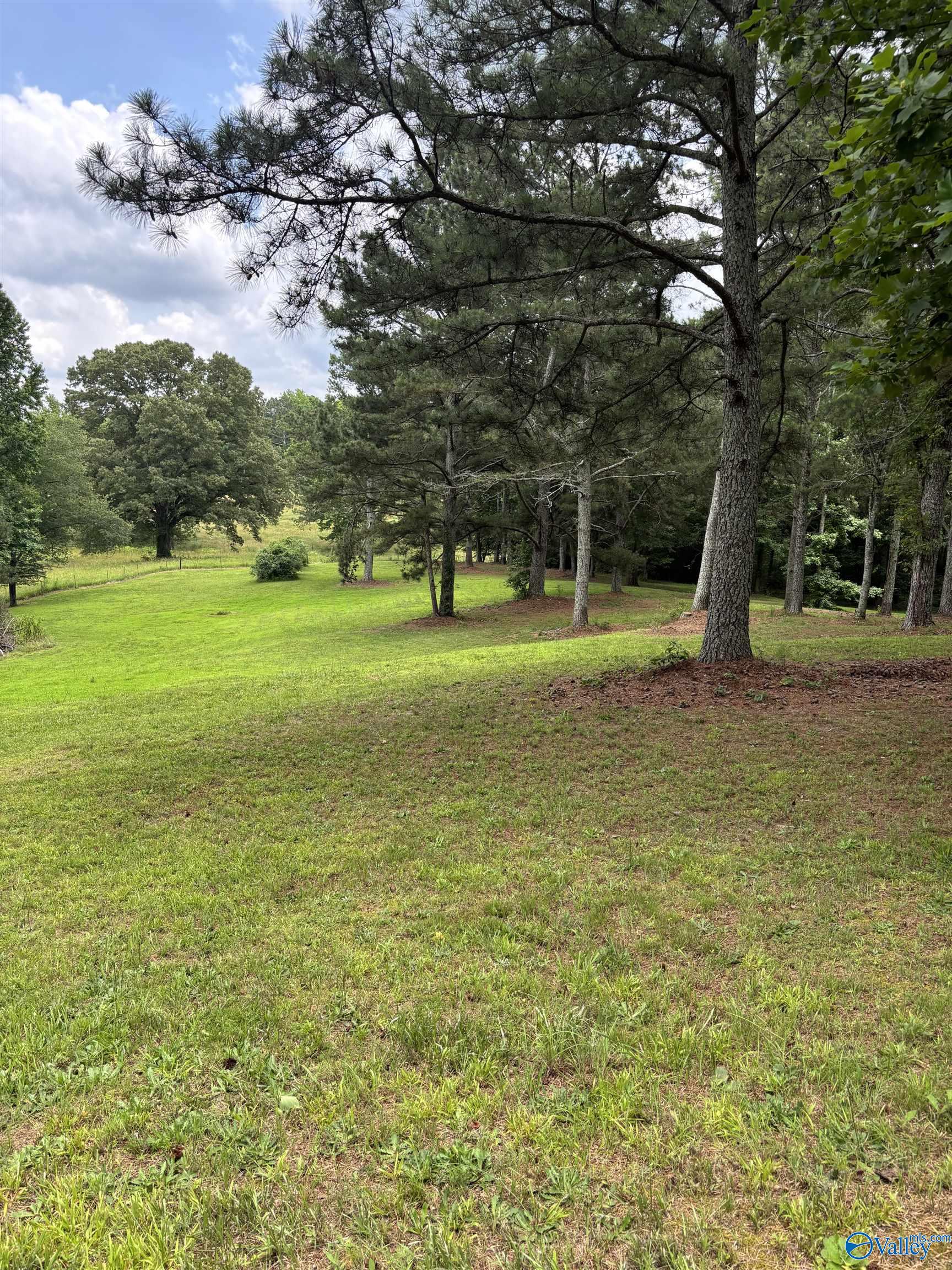 64 Lakeview Drive, Altoona, Alabama image 5