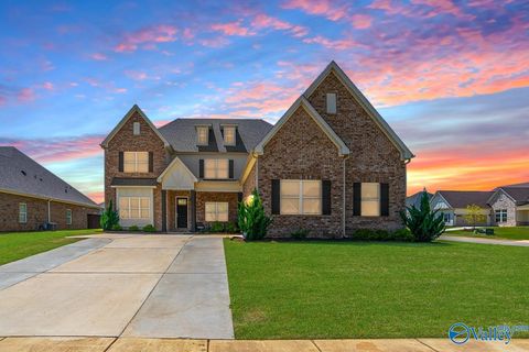 Homes For Sale - 128 Nuckolls Lane<br/> Meridianville, AL 35759
