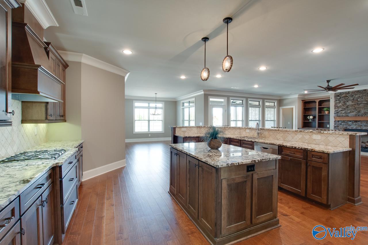 100 Peabury Lane, Madison, Alabama image 15