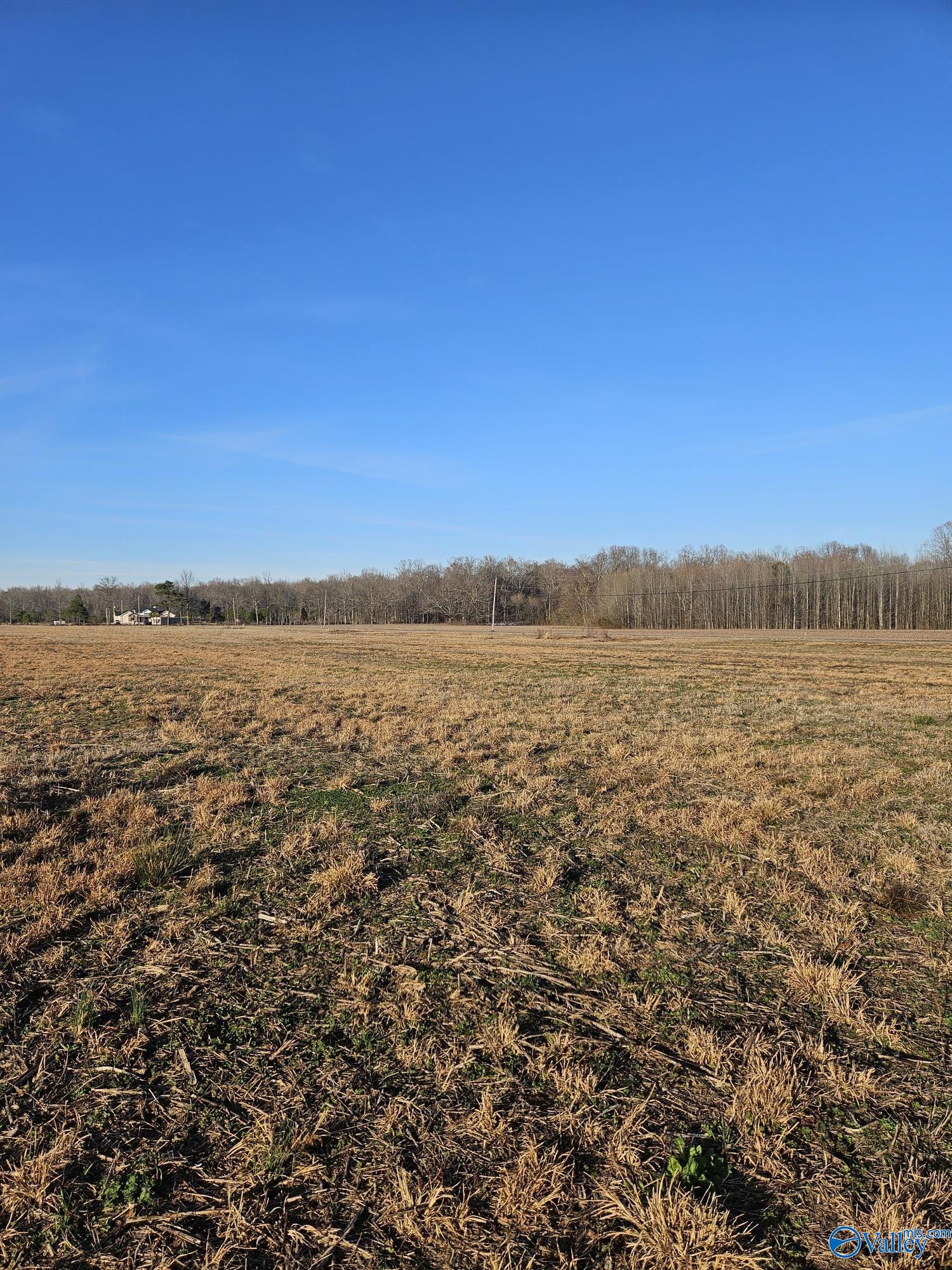 Lot 16 Treva Lane, Hazel Green, Alabama image 5