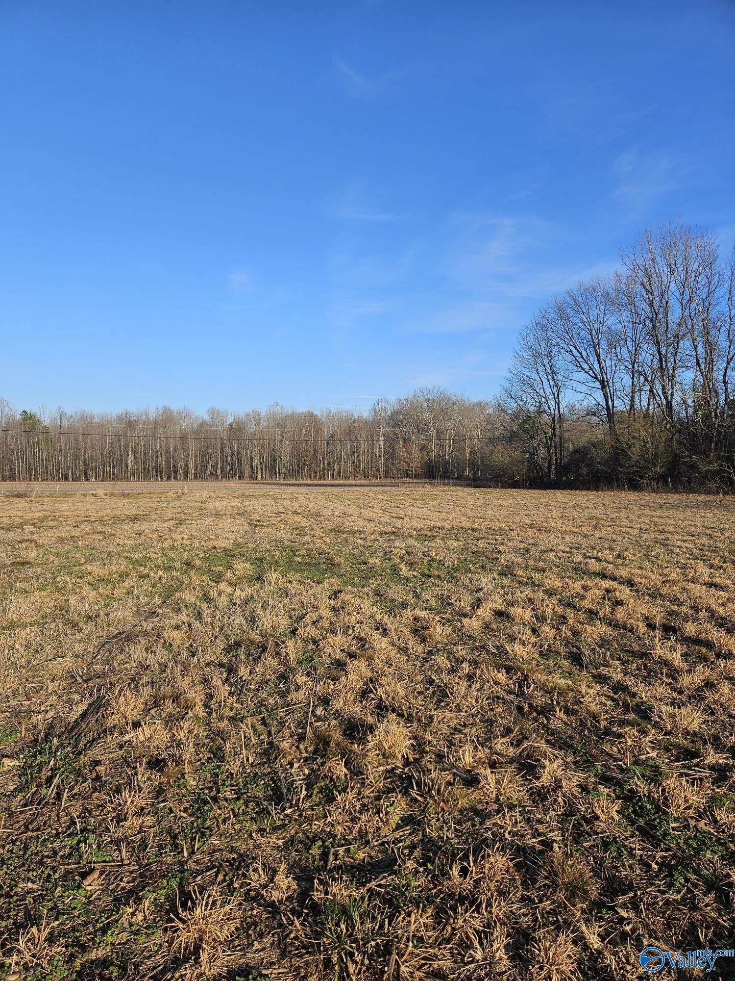 Lot 16 Treva Lane, Hazel Green, Alabama image 4