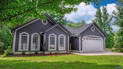 Photo of 4393 County Road 106, Mentone, AL 35984 (MLS # 21912345)