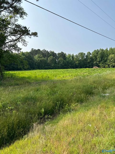 Vacant Land For Sale - TRACT 27 Hays Mill Road<br/> Limestone County, Elkmont, AL 35620