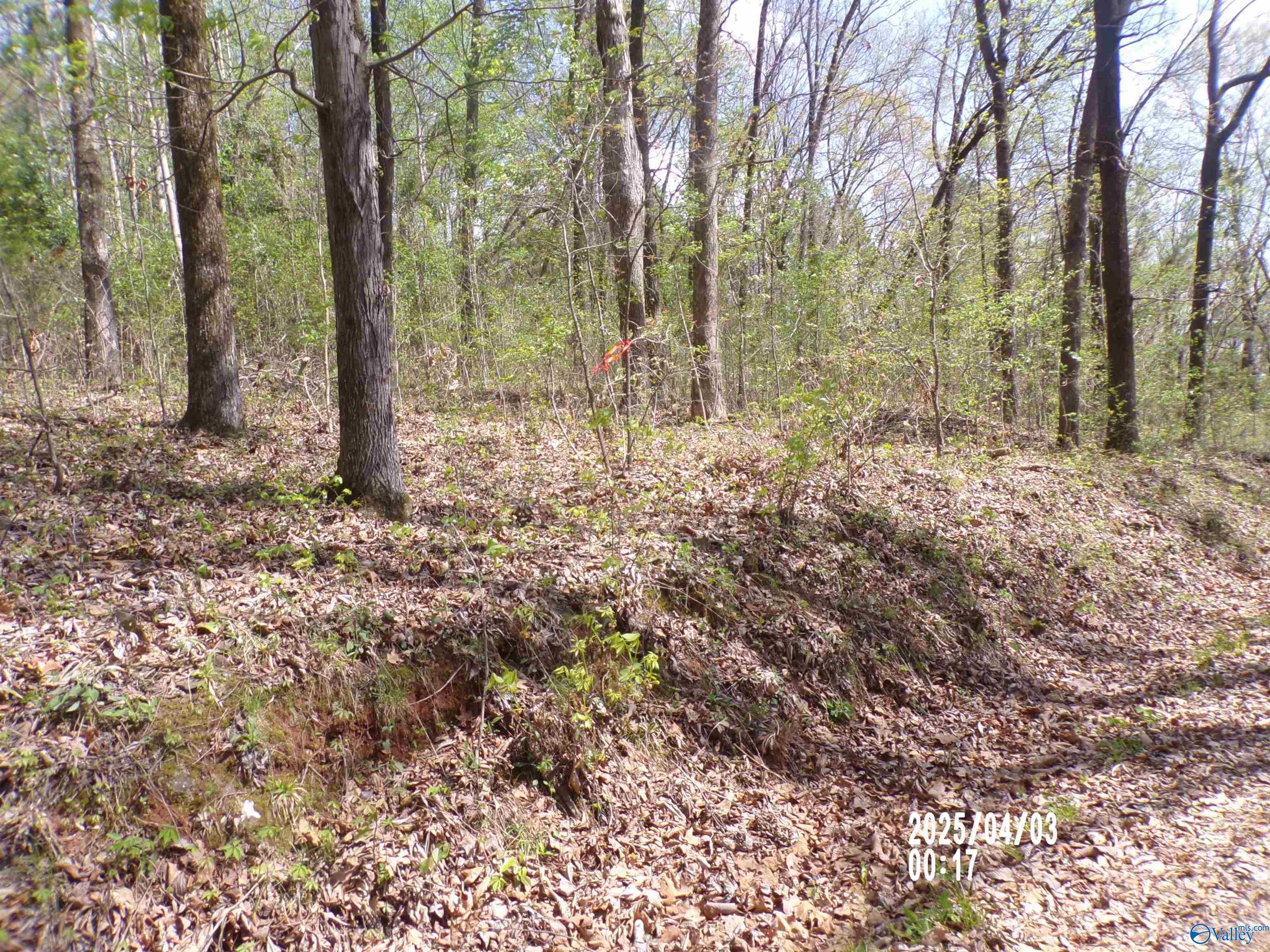 4.00 Creekview Drive, Rainbow City, Alabama image 3
