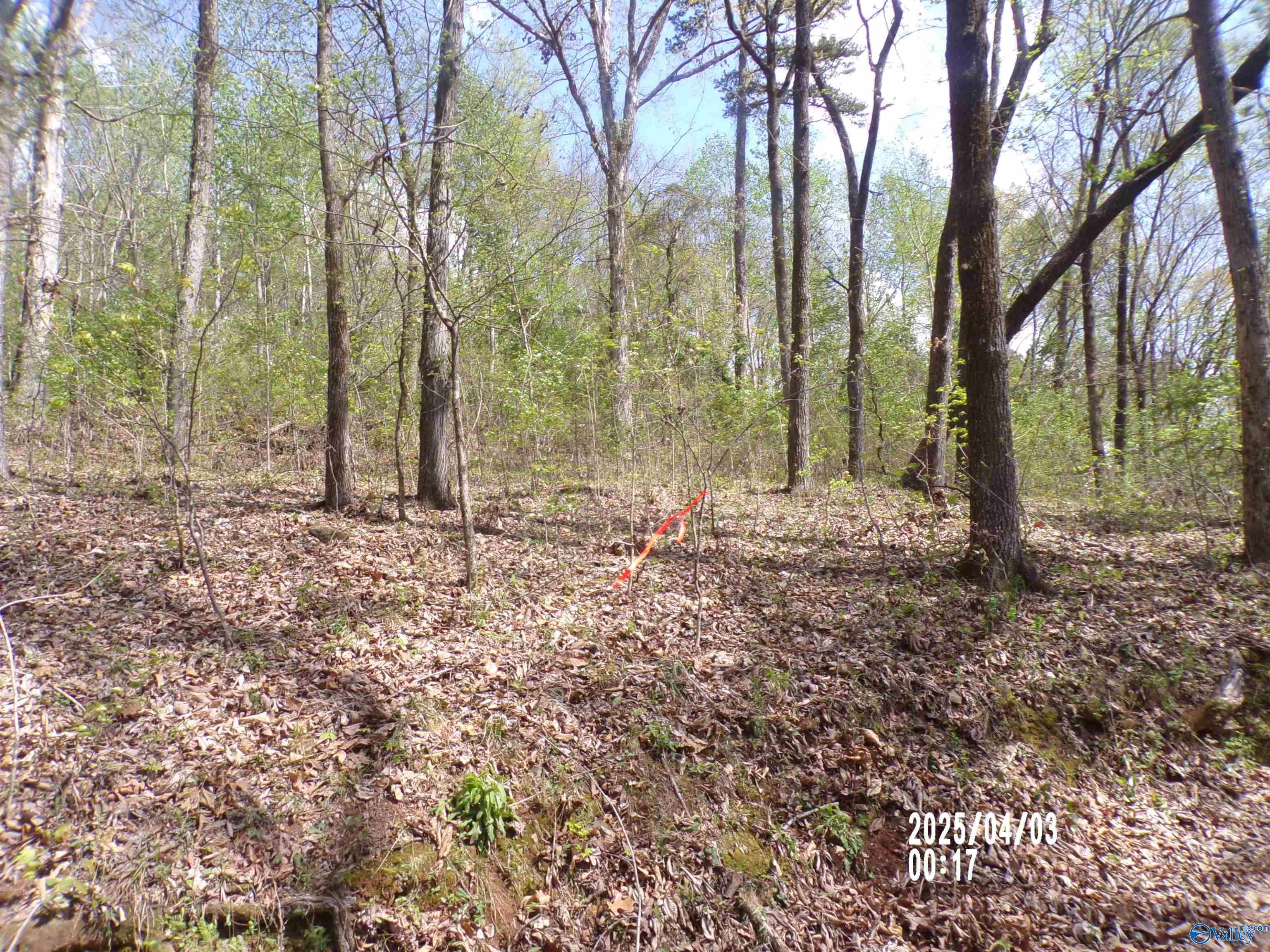 4.00 Creekview Drive, Rainbow City, Alabama image 2