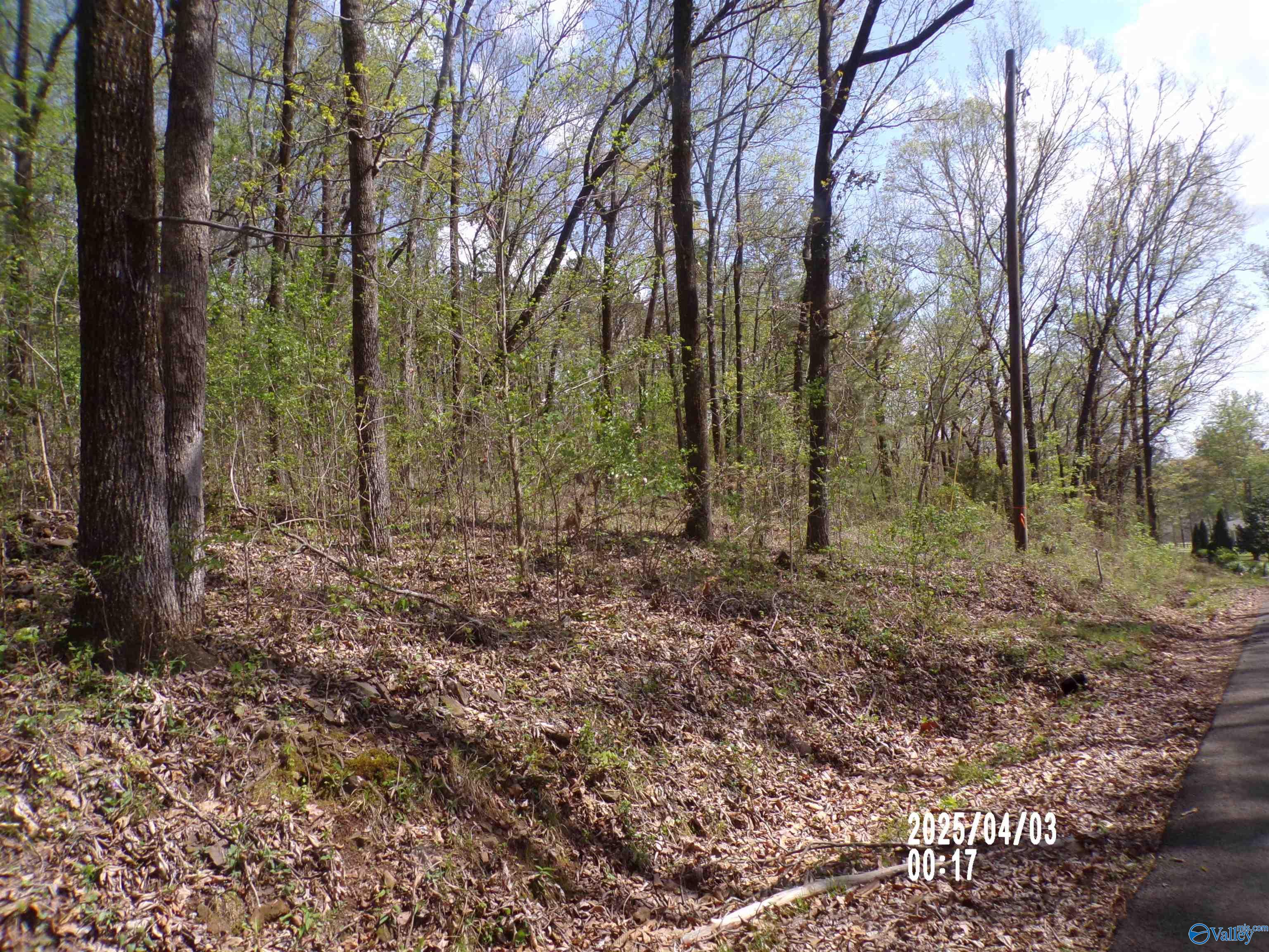 4.00 Creekview Drive, Rainbow City, Alabama image 4