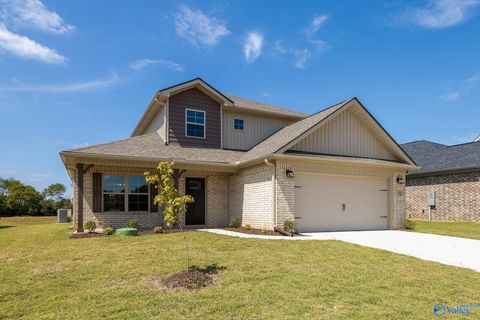 Homes For Sale - 212 Roman Randall Road<br/> New Market, AL 35761