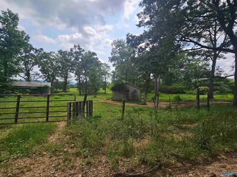 Vacant Land For Sale - 1148 County Road 865<br/> Collinsville, AL 35961